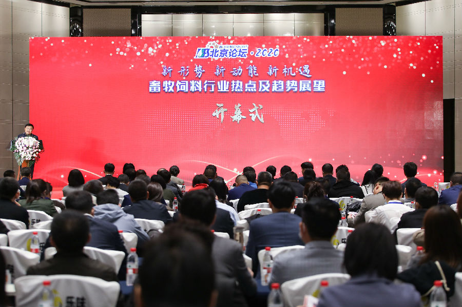 巅峰国际官网-钻营健全,你我一路成长