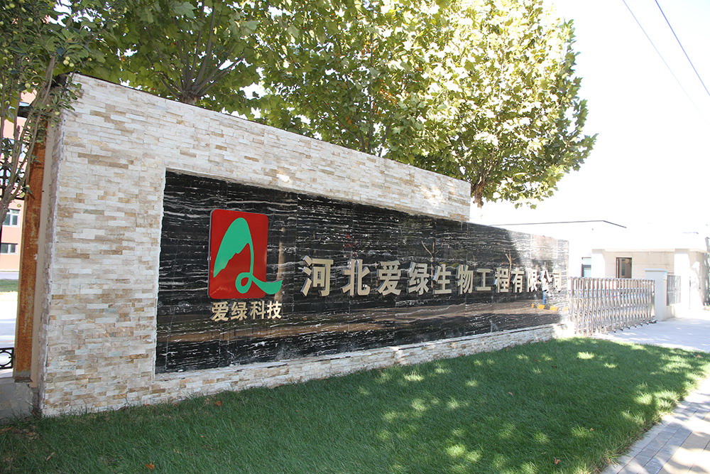 巅峰国际官网-钻营健全,你我一路成长