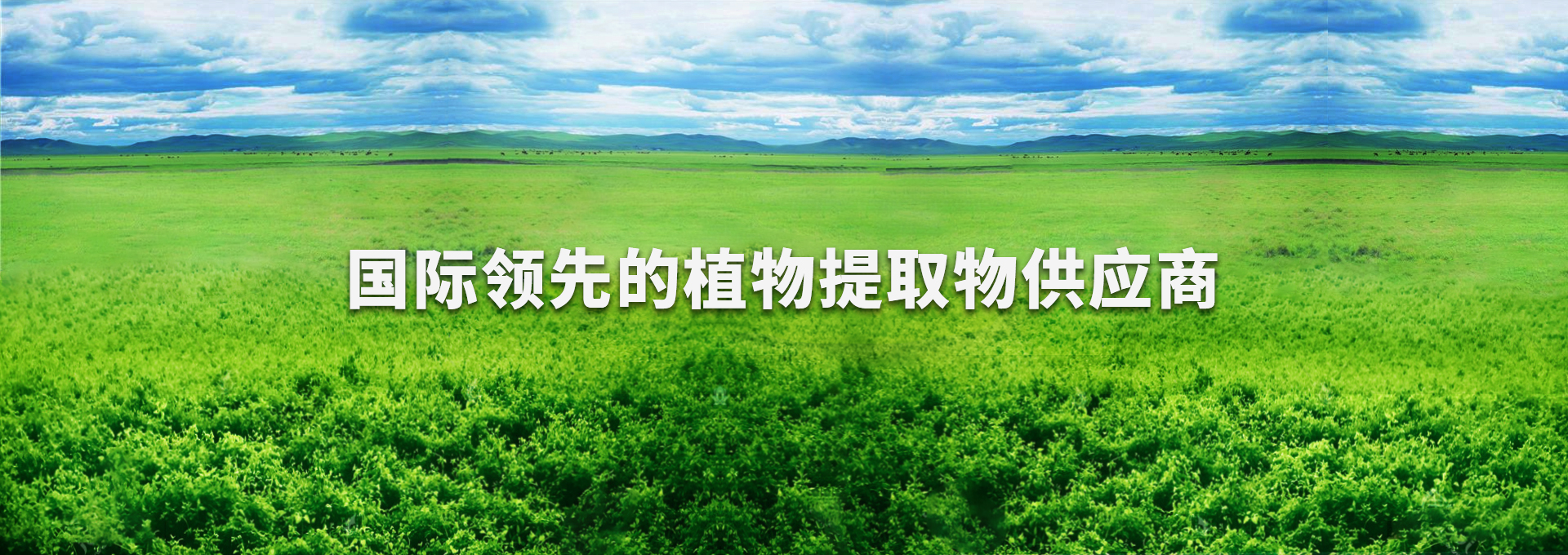 巅峰国际官网-钻营健全,你我一路成长