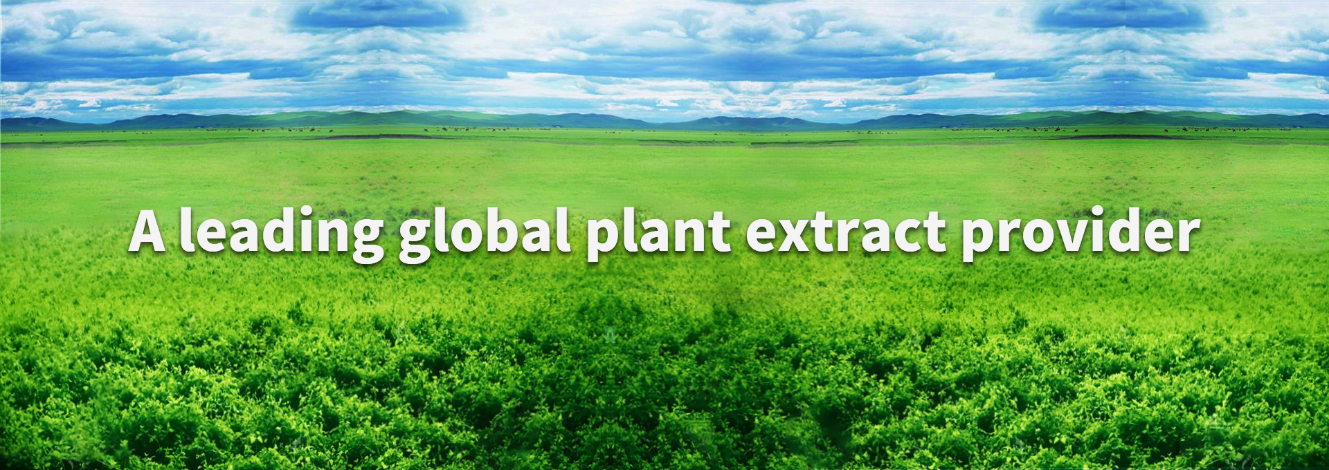 巅峰国际官网-钻营健全,你我一路成长