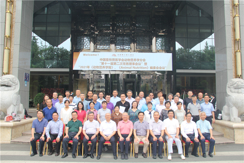 巅峰国际官网-钻营健全,你我一路成长