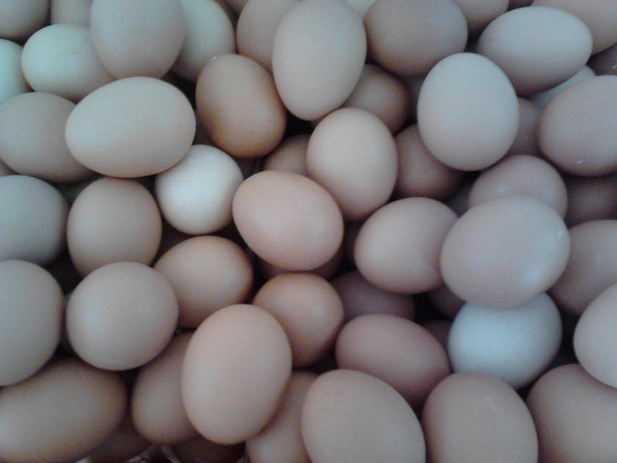 巅峰国际官网-钻营健全,你我一路成长