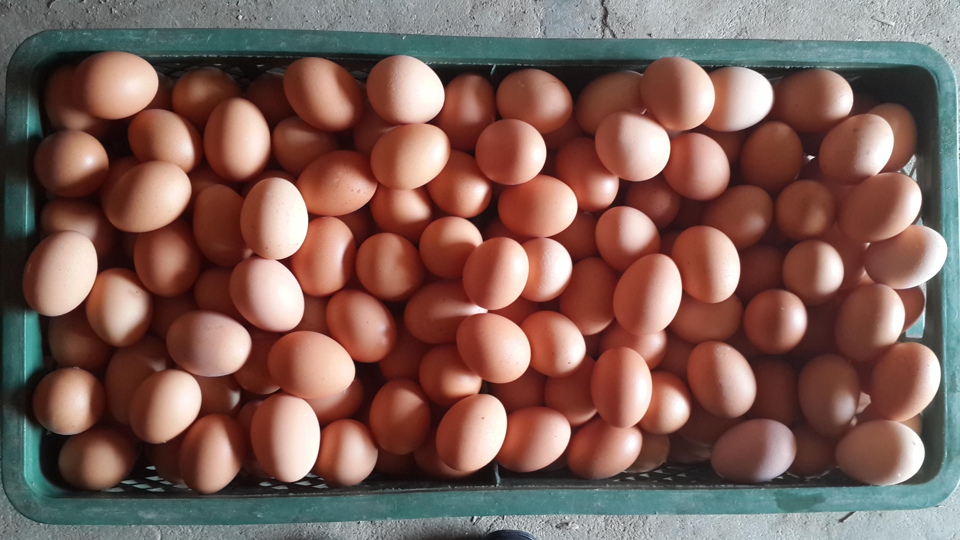 巅峰国际官网-钻营健全,你我一路成长