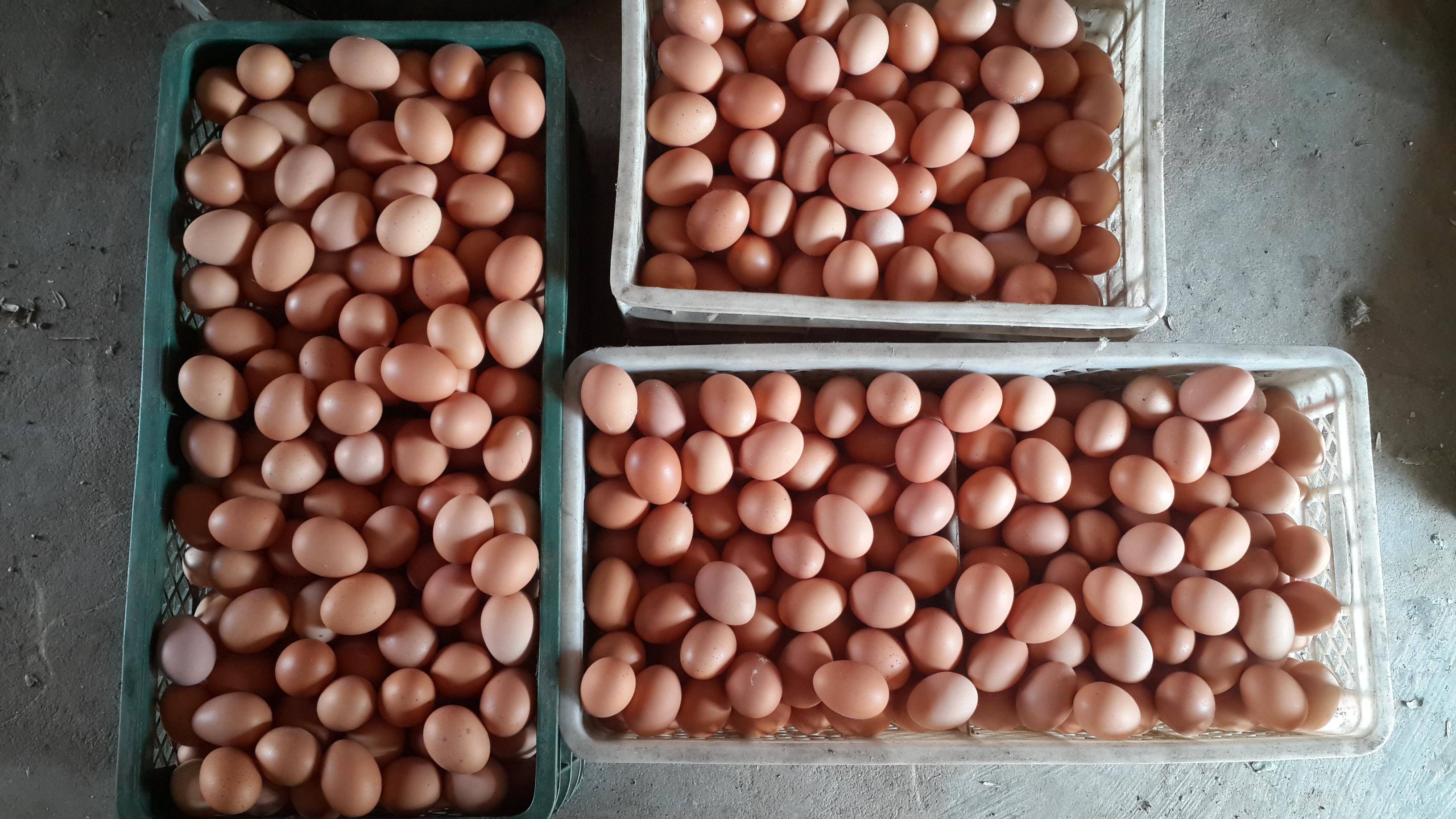 巅峰国际官网-钻营健全,你我一路成长