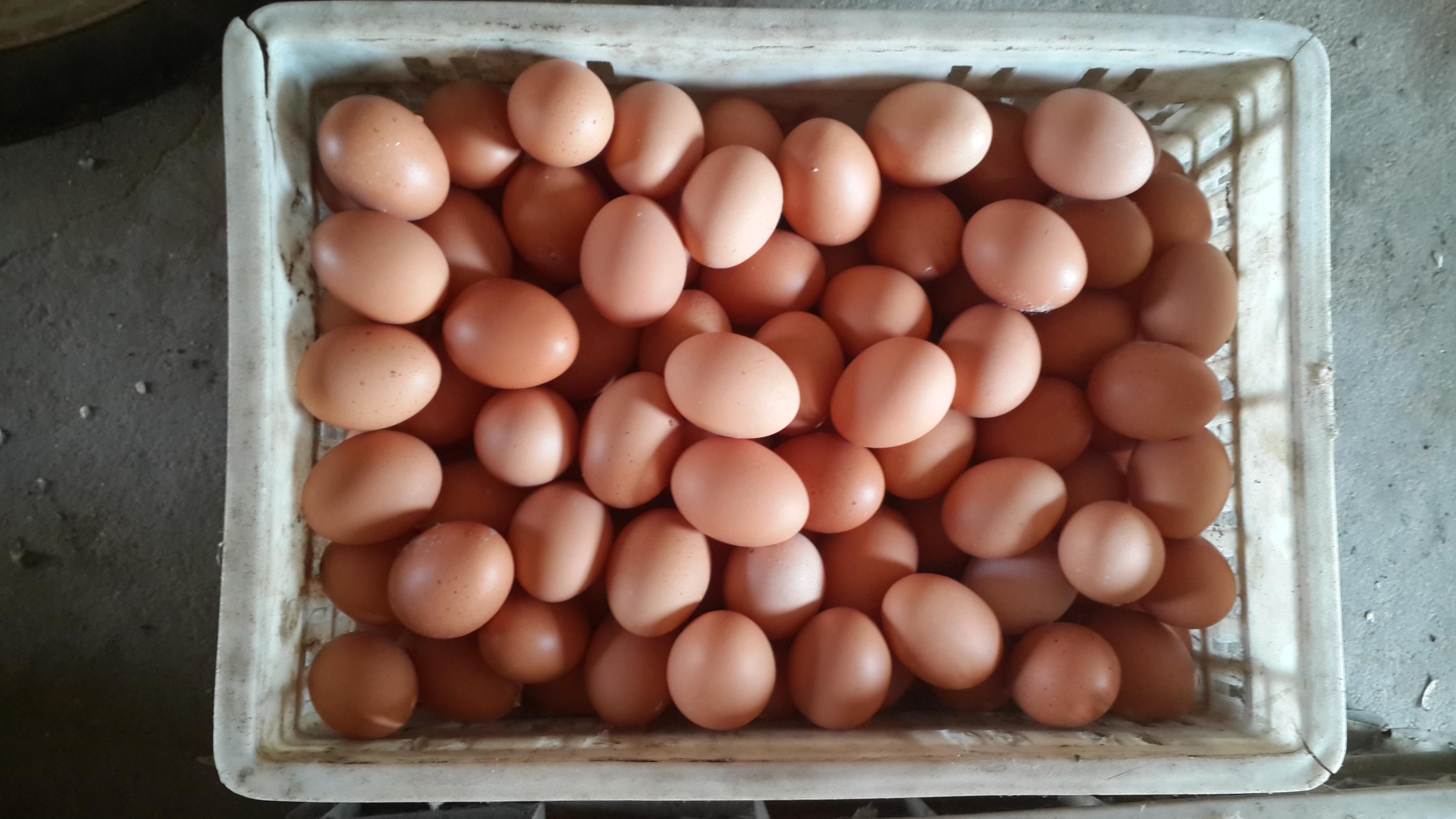 巅峰国际官网-钻营健全,你我一路成长