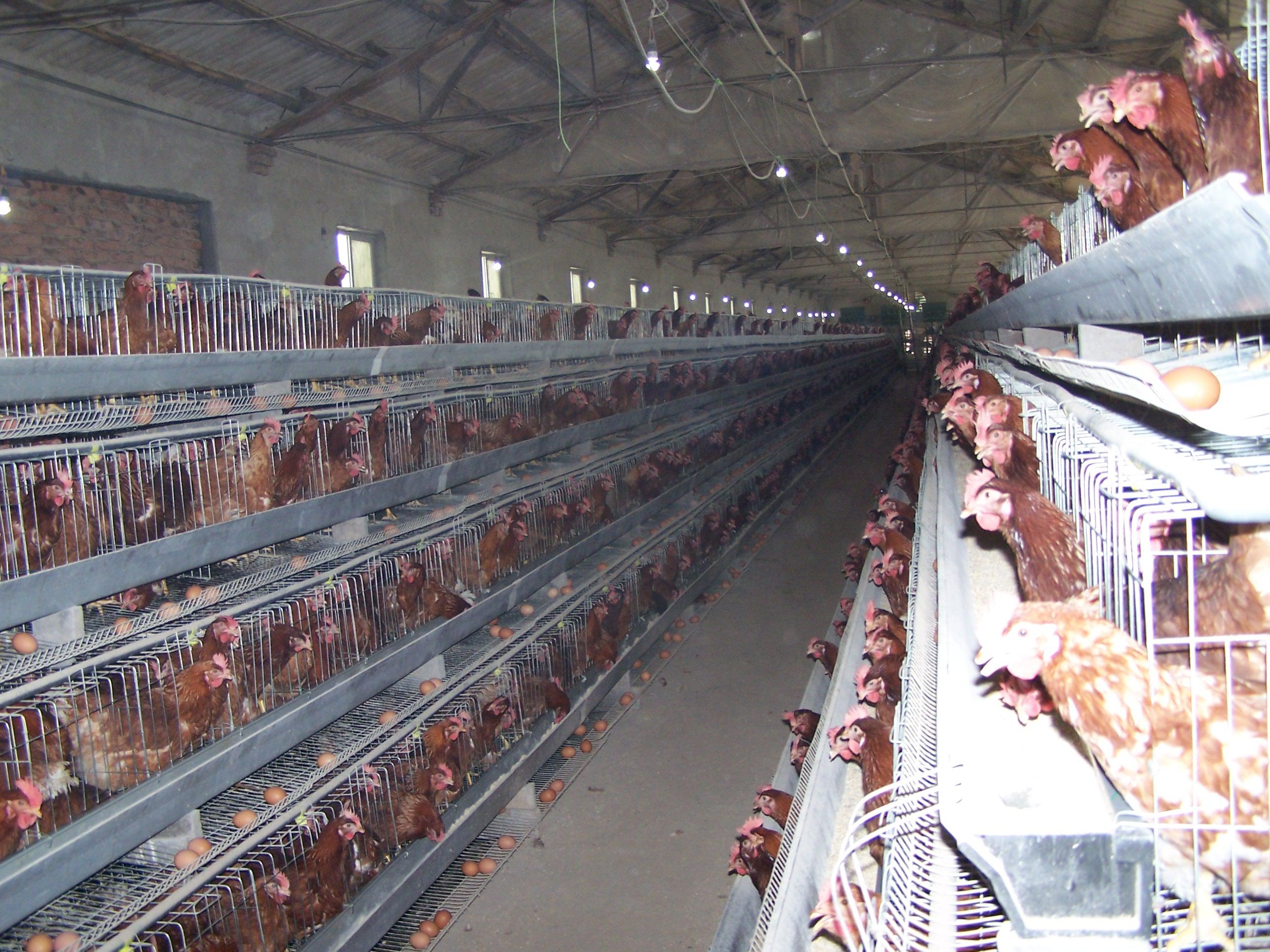 巅峰国际官网-钻营健全,你我一路成长