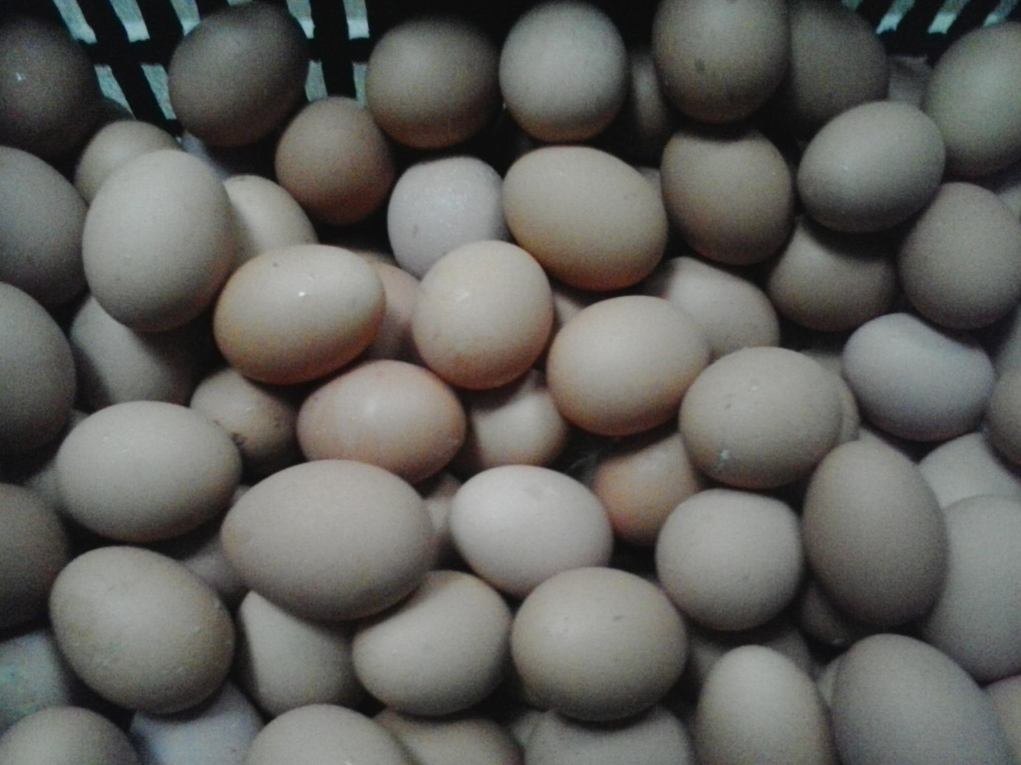 巅峰国际官网-钻营健全,你我一路成长