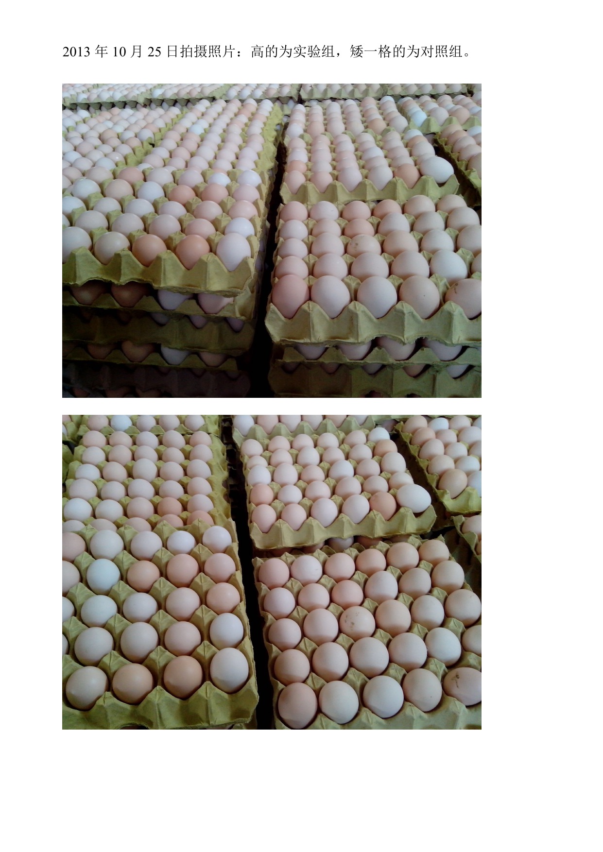 巅峰国际官网-钻营健全,你我一路成长