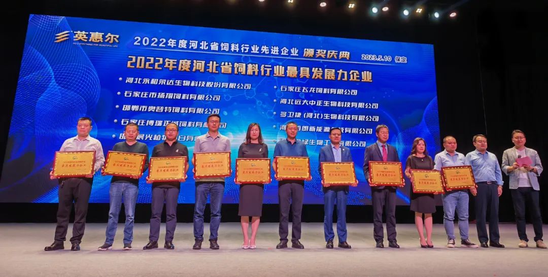 巅峰国际官网-钻营健全,你我一路成长