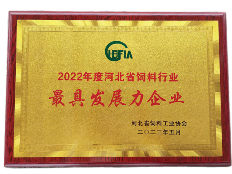 巅峰国际官网-钻营健全,你我一路成长