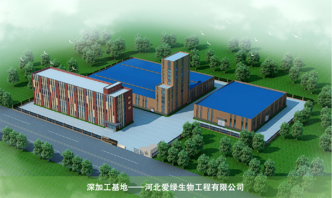 巅峰国际官网-钻营健全,你我一路成长