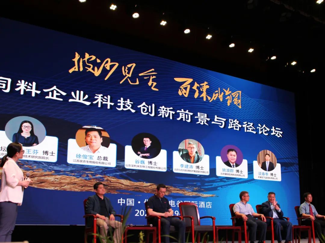 巅峰国际官网-钻营健全,你我一路成长