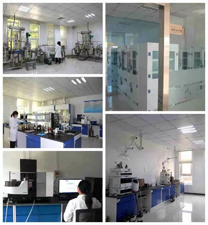 巅峰国际官网-钻营健全,你我一路成长