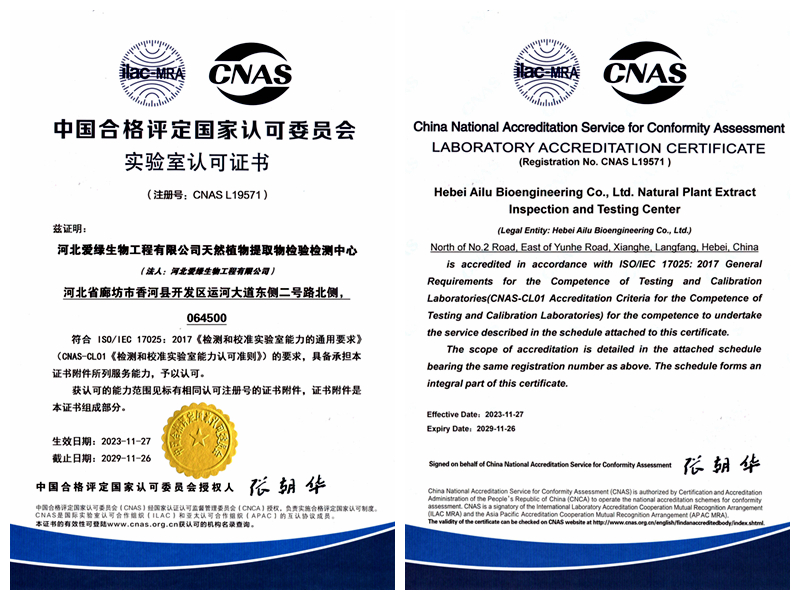 巅峰国际官网-钻营健全,你我一路成长