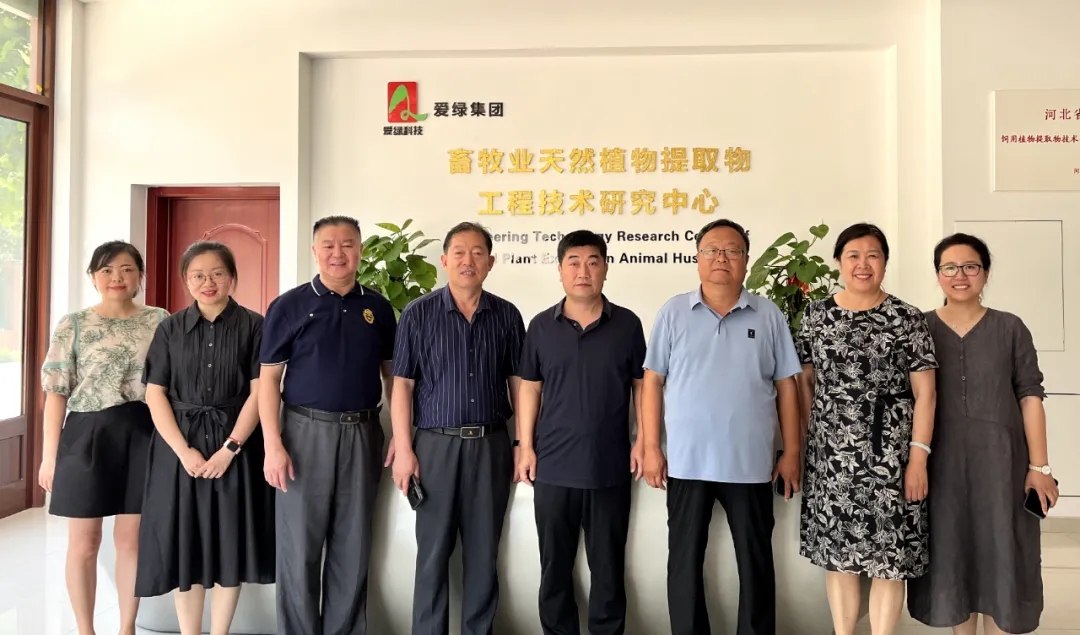 巅峰国际官网-钻营健全,你我一路成长