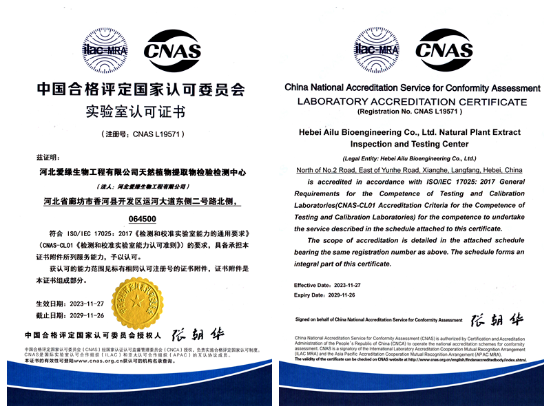 巅峰国际官网-钻营健全,你我一路成长